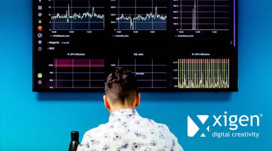 XigenOverview